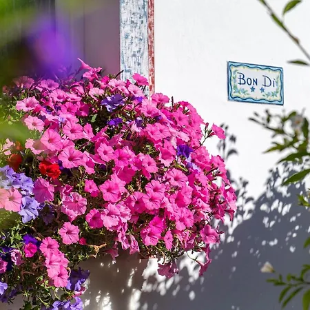 Garni Bondi Bed & Breakfast